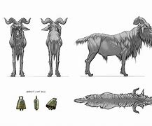Image result for Orthographic Animal