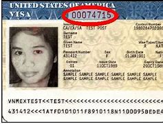 Image result for Visa Document Number