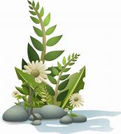 Image result for Cartoon Plant Background
