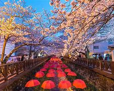 Image result for Beautiful Places in South Korea