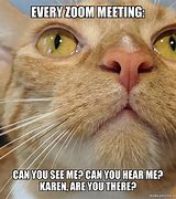 Image result for Meeting Email Meme