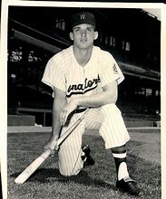 Image result for Bob Allison Baseball