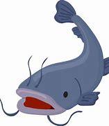 Image result for Catfish Clip Art Clean