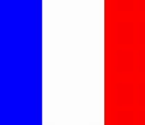 Image result for Flag of France