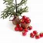 Image result for Christmas Apple Decorations