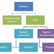 Image result for Long-Term Memory Chart