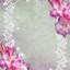 Image result for Pink Grunge Backgrounds