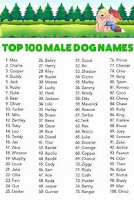 Image result for Male Dog Names List