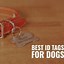 Image result for Dog Grooming Shears