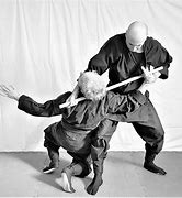 Image result for Martial Arts Cane Fighting