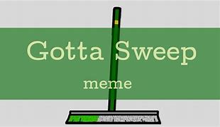 Image result for Gotta Sweep Human