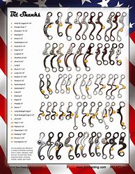 Image result for Types of Bits for Horses