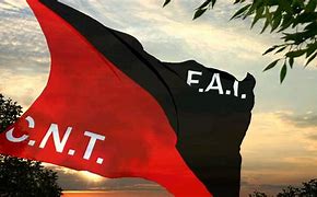 Image result for CNT-FAI Flag