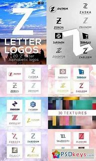 Image result for Logo with Z Letter and World Design