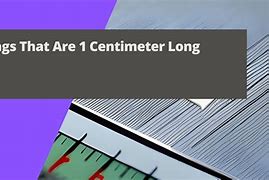 Image result for 1 Centimeter Length Object