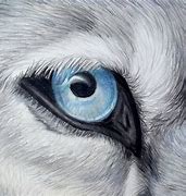 Image result for Aesthetic Wolf Drawing