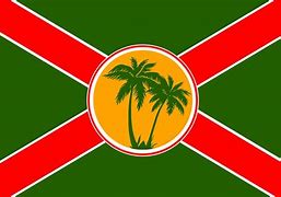 Image result for Florida Mosely Flag