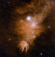 Image result for Fox Fur Nebula HD