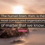 Image result for Unified Brain Quote