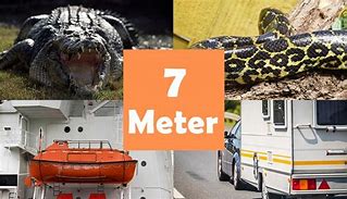 Image result for Things That Are 7 Meters Long
