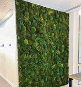 Image result for Bespoke Moss Wall