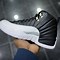 Image result for Jordan 12 Playoffs