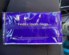 Image result for FedEx Dog