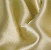 Image result for Blush Champagne Material