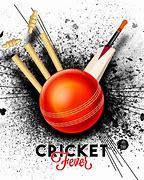 Image result for Wicket Vector