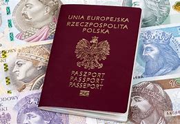 Image result for co_to_za_zdjęcie_paszportowe