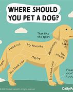 Image result for What Pet Should You Get