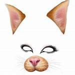Image result for Cats with Snapchat Filters On