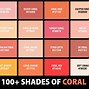 Image result for Winter Coral Color Palette