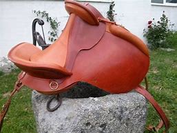 Image result for Iberian Dressage Saddle Pad