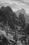 Image result for Arizona Landscape Black and White