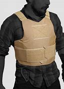 Image result for Body Armor Cases