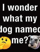Image result for Fake Dog Name Meme