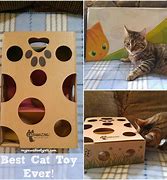 Image result for Best Cat Toys Ever