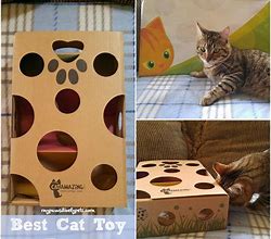 Image result for Best Cat Toys Ever