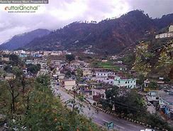 Image result for guachar