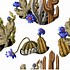 Image result for Black Mystical Background and Cactus Stickers