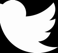 Image result for Twitter White Bird Icon