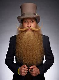 Image result for Beard and Mustache Championships