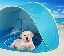 Image result for Dog in Shade
