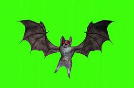 Image result for Metal Bat Greenscreen