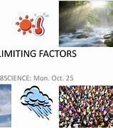 Image result for Limiting Factors Examples