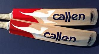 Image result for Old Cricket Bat