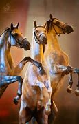 Image result for Breyer Horse Memes