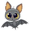 Image result for Cutest Bat in the World