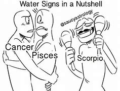 Image result for Zodiac Water Sign Memes